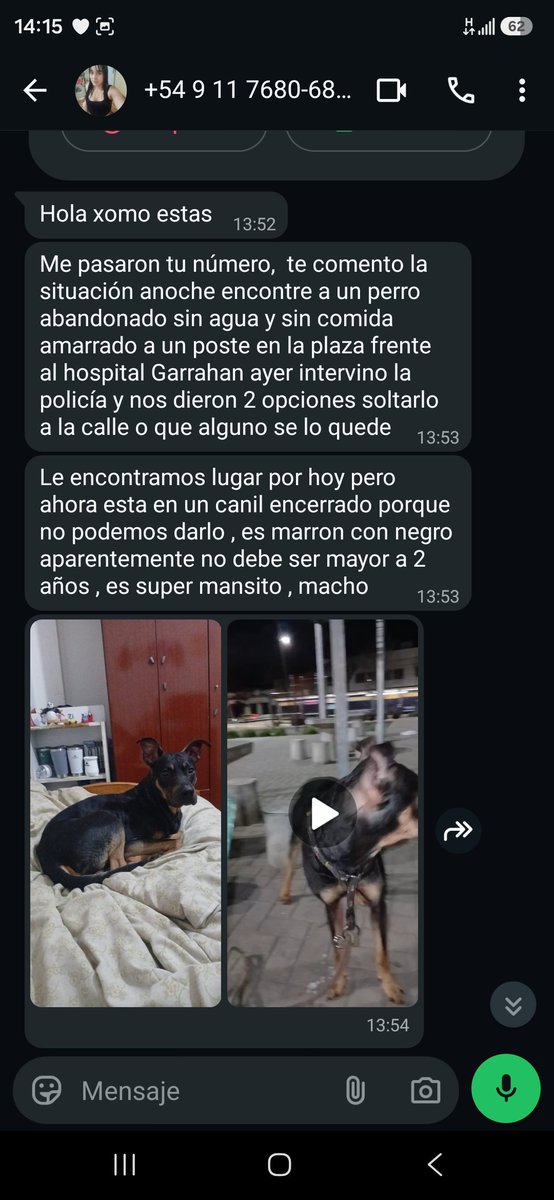 JungParkAR's tweet photo. Me contactaron por este perrito que dejaron abandonado frente al garraham. Les contesté que en este momento no me puedo hacer cargo. 
Al menos ayudo a difundir 1176806836 lo retienen x hoy si alguien de la zona puede ayudar favor de contactarse.
Gracias. https://t.co/Kgqz3vyks9