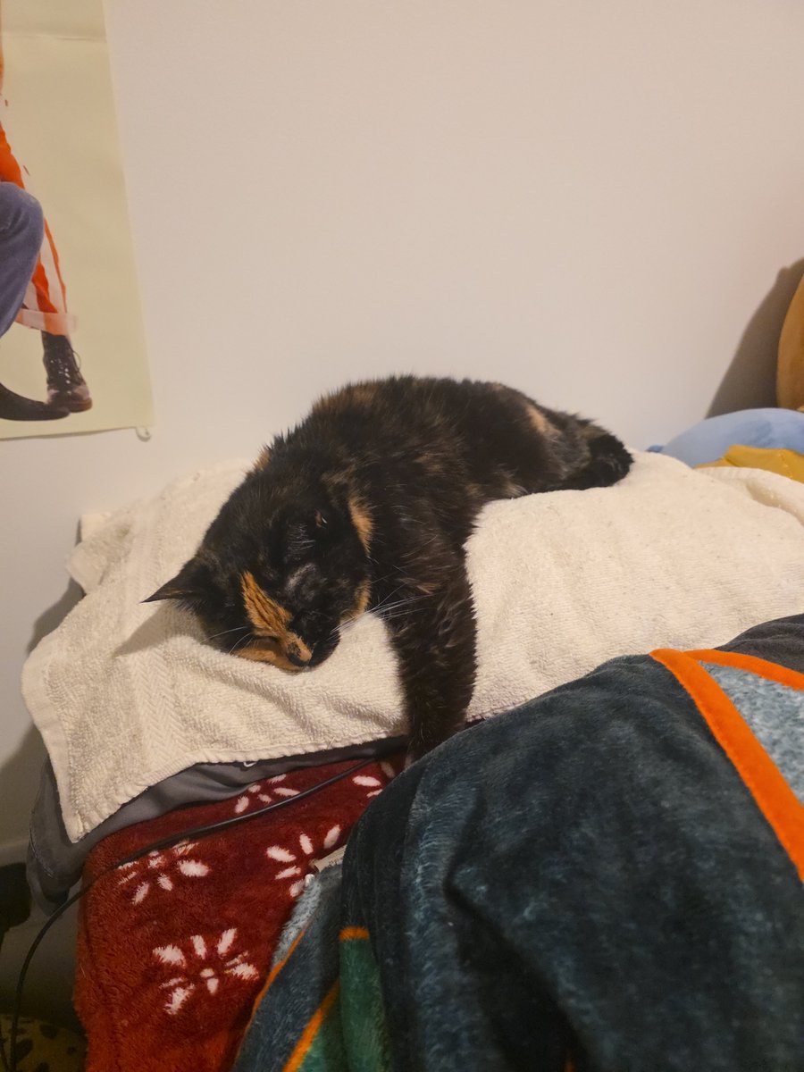jjongie_tm's tweet photo. Update on my baby 

After the fluid treatment and anti nausea med, she's doing way better. 💗 I sincerely thought I was going to lose her cause she's 19 and I've never seen her look so miserable in my life. https://t.co/y9CVMzsWoq