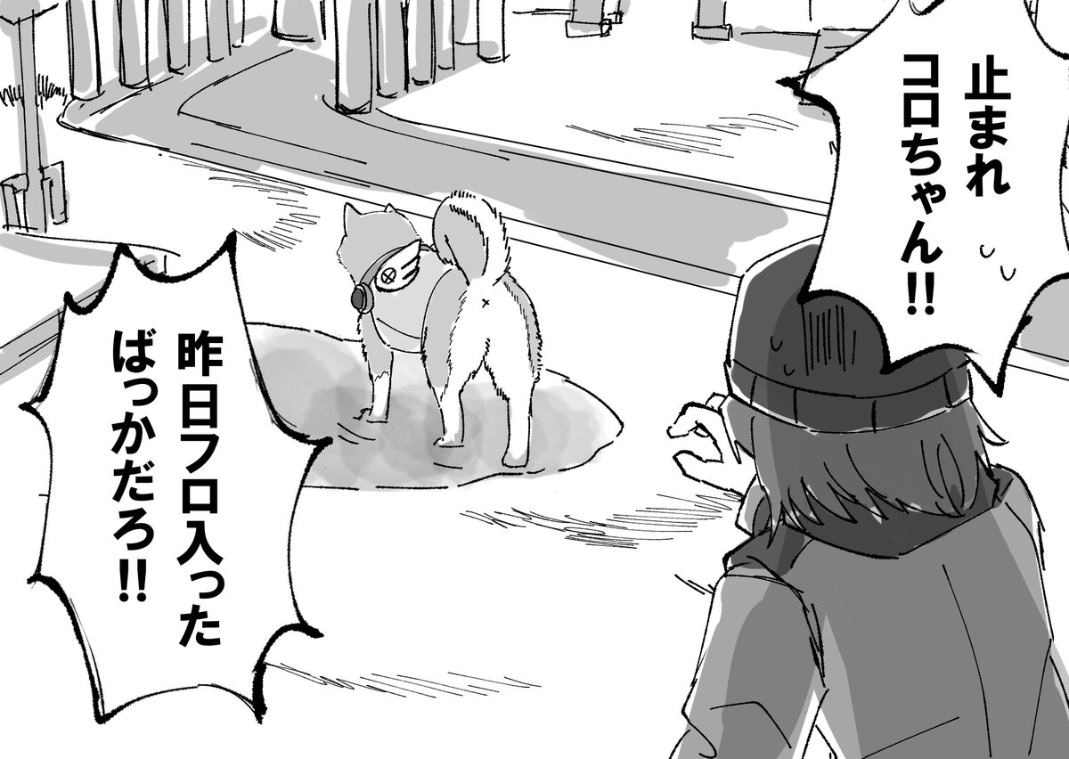 Xu_sift0215X's tweet photo. 洗ったばっかりのコロちゃんが水たまりに入ってしまい悲鳴を上げる荒垣先輩 https://t.co/QLvIJPZtqm