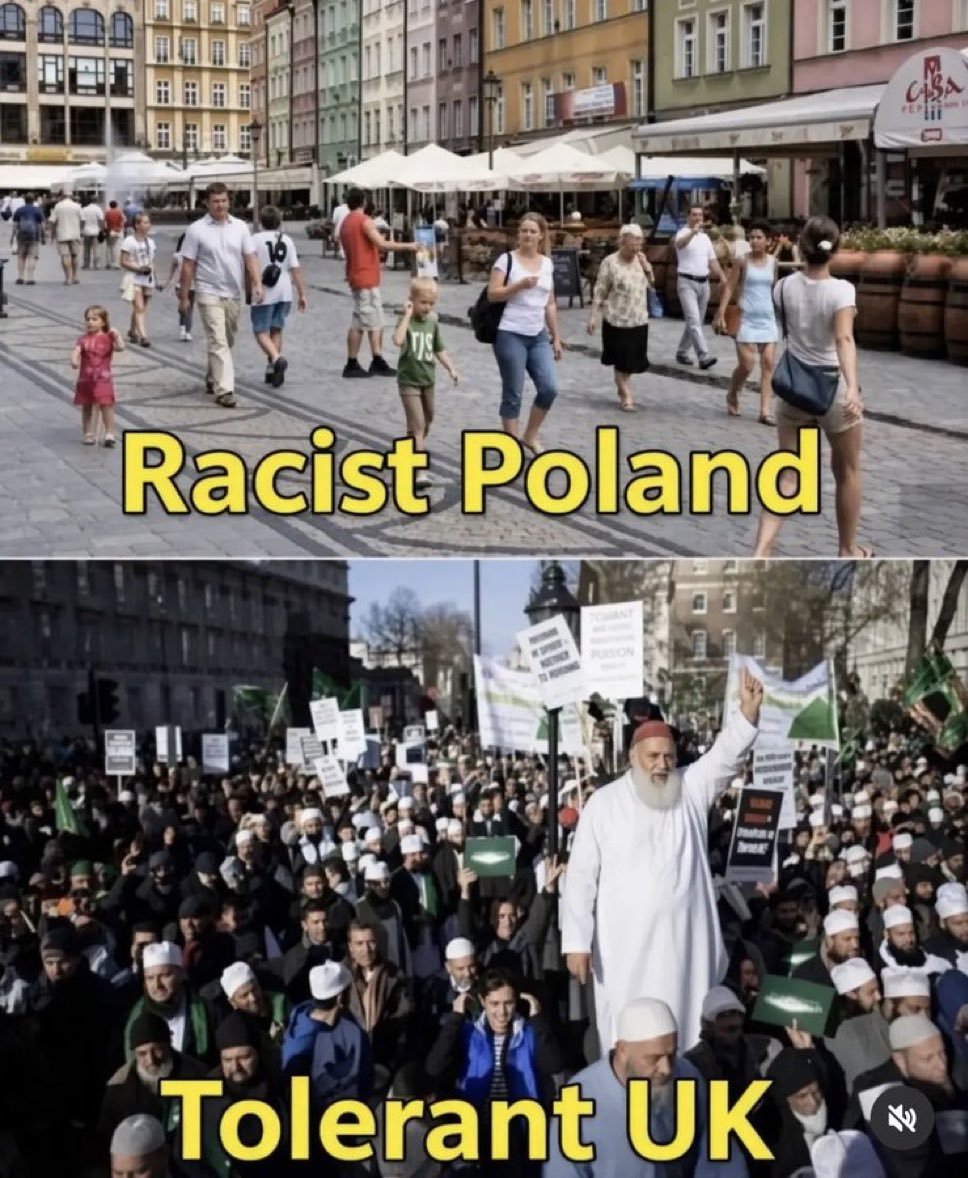 HarryXiLee's tweet photo. @TRobinsonNewEra https://t.co/Kd3VcF7vcQ