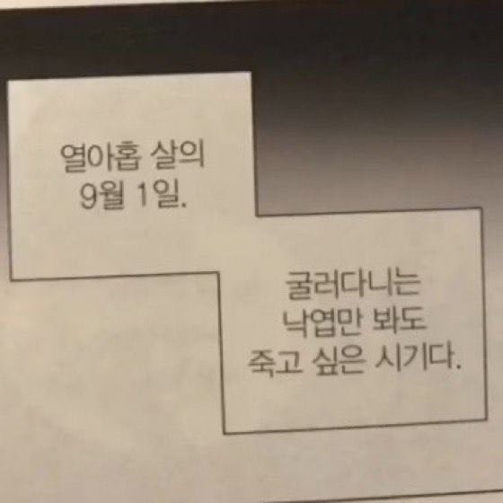 minsle222's tweet photo. 이 짤을 쓸 수 있게 될 줄이야 https://t.co/BSEYmJovfA