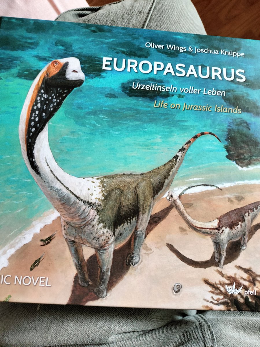 cor_memo's tweet photo. Just finished reading this masterpiece of a book: #europasaurus by Oliver Wings and wonderful paleoartist @JoschuaKnuppe   
Wish more paleoartists did similar works like this. Imagine a graphic novel by @SerpenIllus , @FredtheDinoman or PaleoParallax. It would be a must have! https://t.co/KIJFSZTcSh