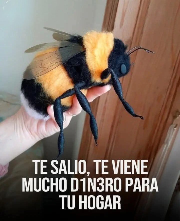 PiensaPositivoR's tweet photo. Decreta: HECHO ESTÁ 🙏 https://t.co/DPRcOVxVuP