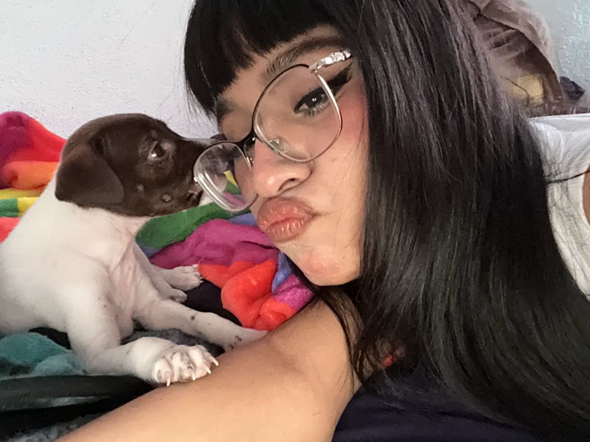 marezxatt's tweet photo. te amo con todo mi corazón Chloe eres lo único que tengo🩷🥹🥹🥹 https://t.co/eUxdYQHCx6