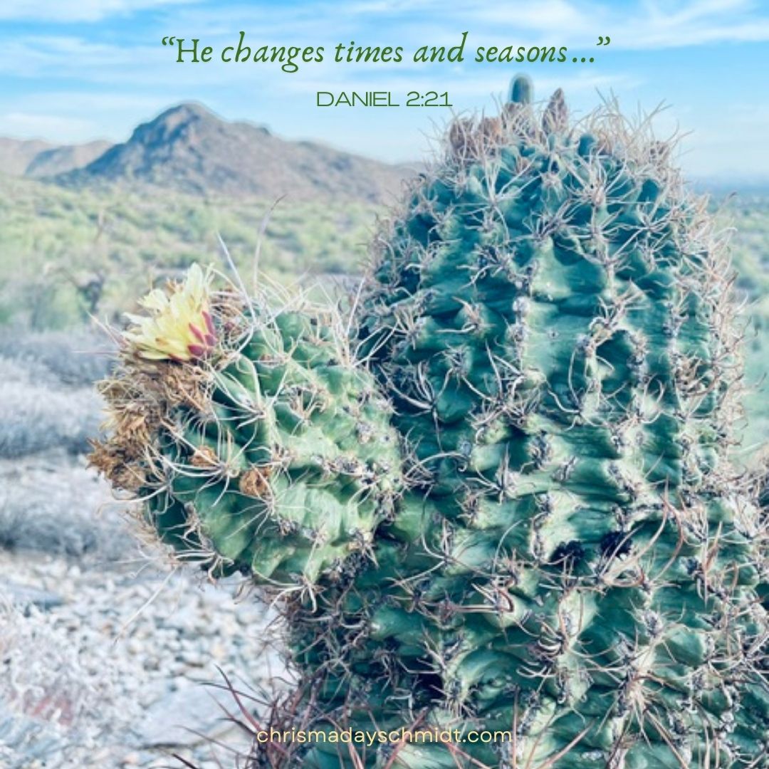 AlwaysWriteTime's tweet photo. “He changes times and seasons…” — Daniel 2:21 

#MondayMountains  #WordOfGod #ScriptureReflections #GoodbyeAugust https://t.co/ID198vKnuE