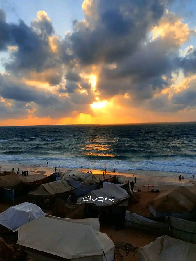 m99t99's tweet photo. غروبٌ من #غزة.. الشمس ترحل، والخيام تبقى. 💔 https://t.co/uD5Zy2I6lS