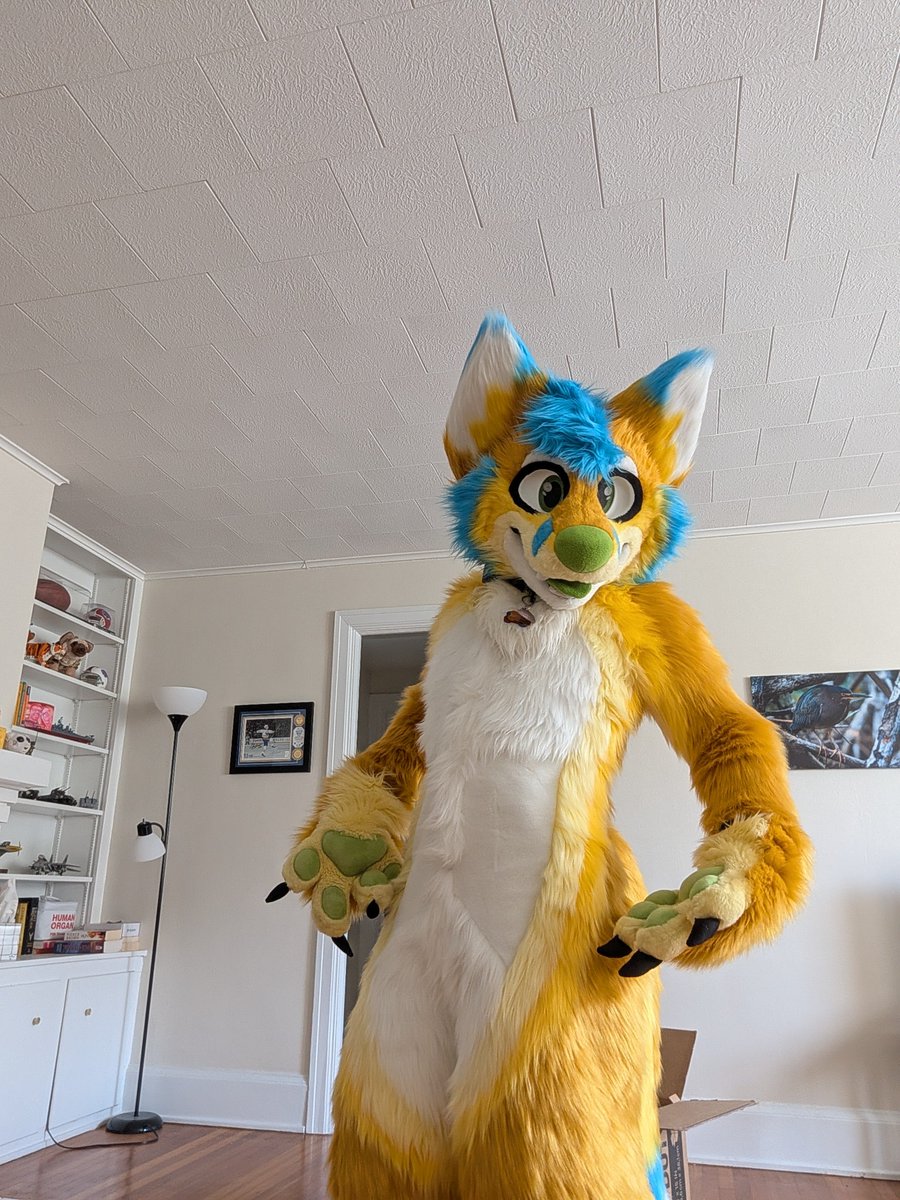 TehRandomFox's tweet photo. One year ago at MP, I adopted just the head and tail of this yellow blue goober from @HHC517 after just falling in love with the design. Ergo, it is only fitting that today I announce that the boy is but a partial no more, but now complete with a bodysuit from @indeercisive! https://t.co/GDqcl30TvN
