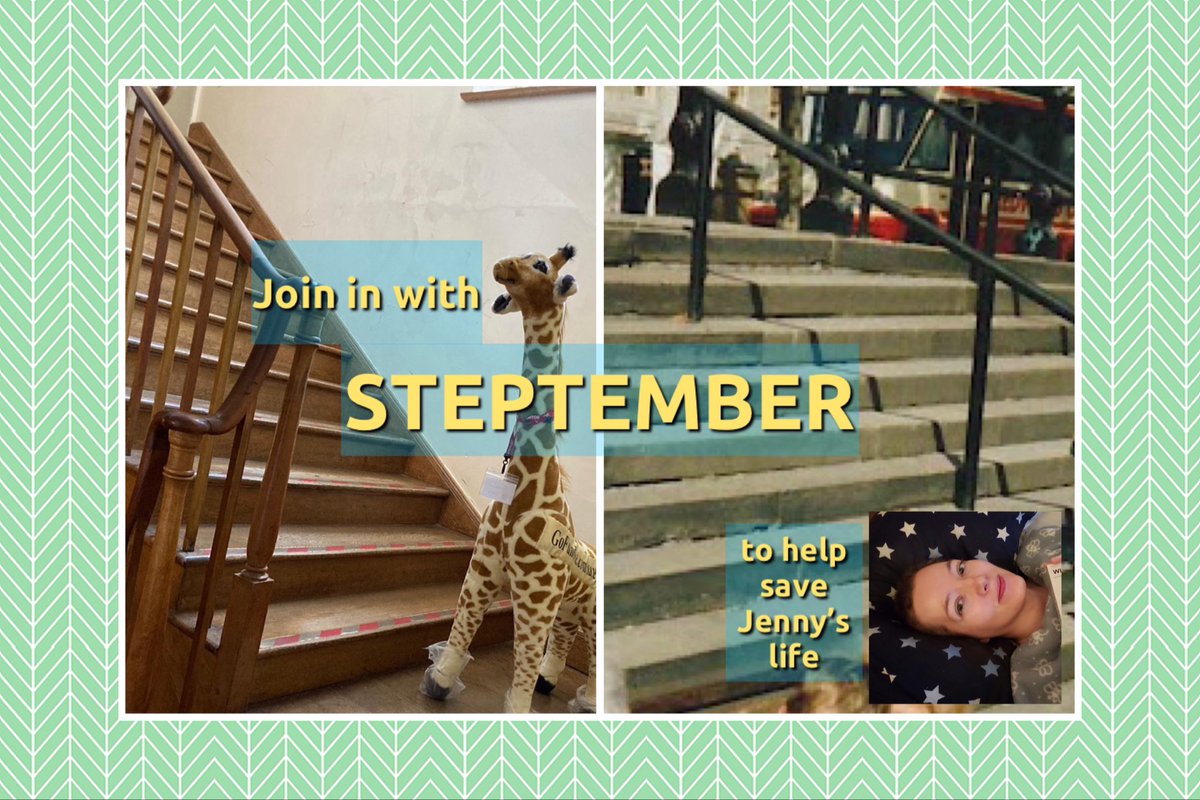 Stroopwaffle's tweet photo. Announcing ‘Steptember’ as my September fundraiser, plus a thankful update: https://t.co/vUdfnXUZ3Z https://t.co/jeYe7ETy63