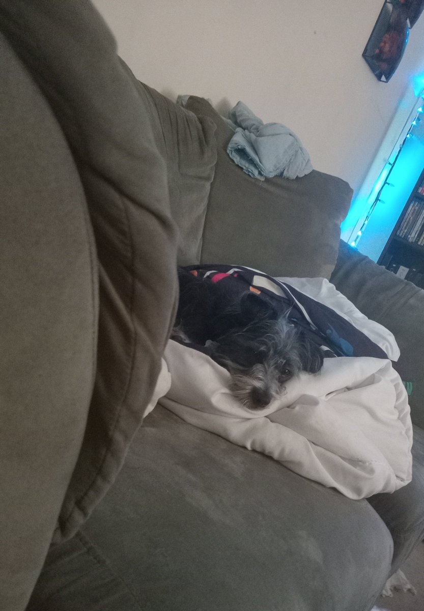 AyeDelorme1's tweet photo. My BooBoo this afternoon https://t.co/pIjIEilCK5