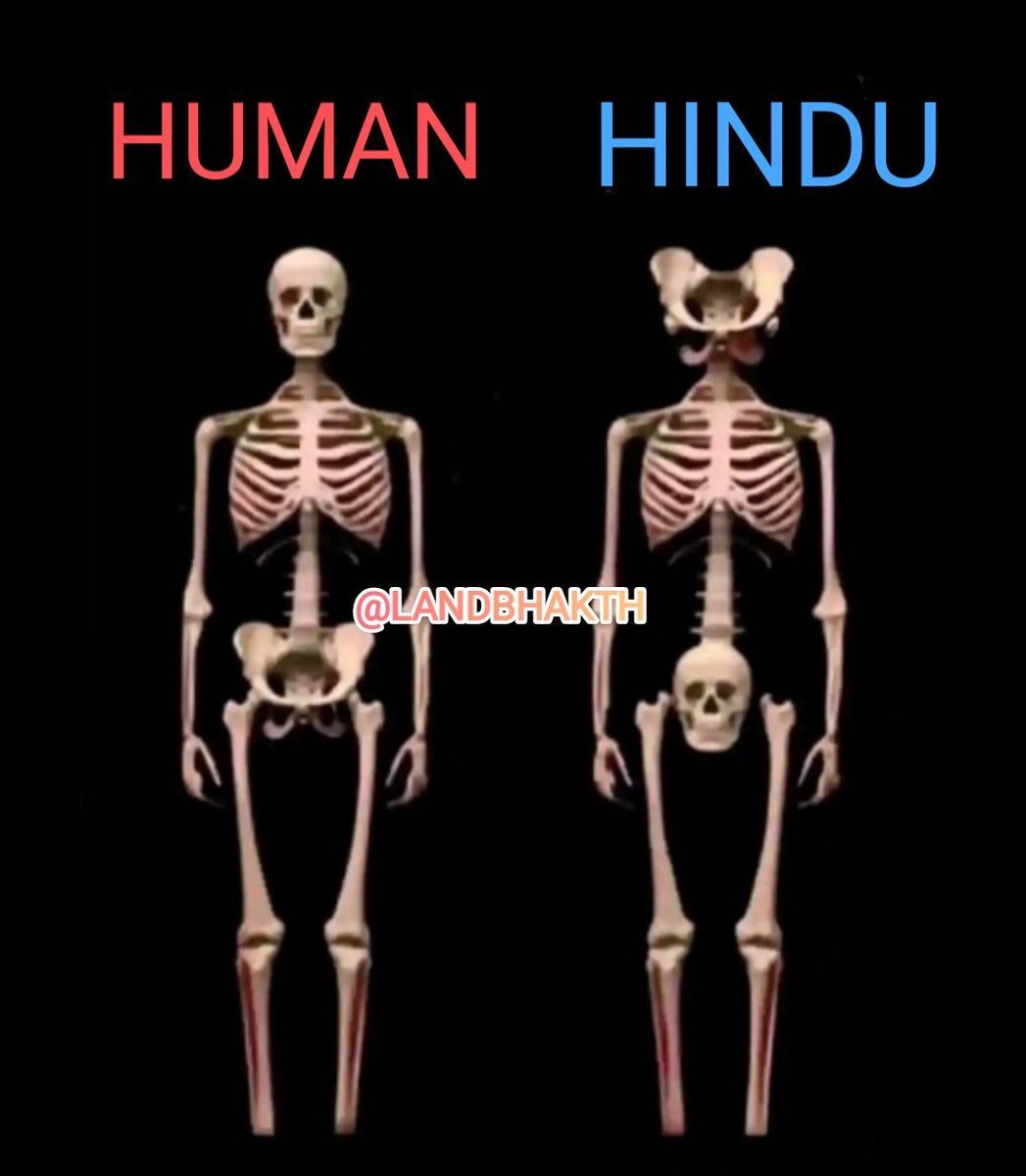 Hindusnightmare's tweet photo. @mooslum166178 @HalalNation_ Krishna got fucked by the floods https://t.co/IEyVZSLdz7