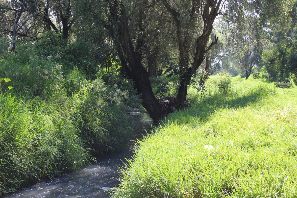 RebecaBanuelos_'s tweet photo. 🌿💧 Cuidar nuestros ríos también es cuidar nuestro futuro.

Desde @CeasPueOficial  nos sumamos a la jornada comunitaria de limpieza en la ribera del Río Xochiac, trabajando de la mano con la comunidad para recuperar y proteger nuestros espacios naturales. 🌎 https://t.co/eCYMCnkA3n