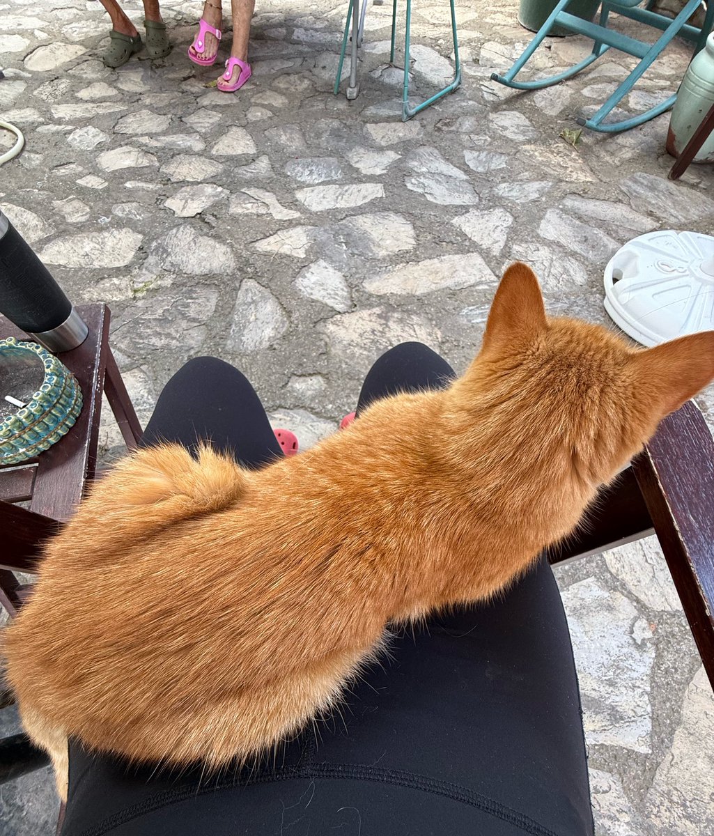 sircabifanus's tweet photo. şerefin varsa iyi geçersin eylül https://t.co/hHR6fcuE5J