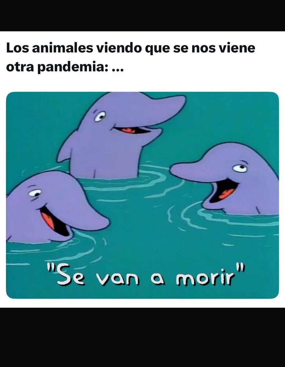 Franfrmn's tweet photo. @Camiloruimind https://t.co/cHorPeqAtO