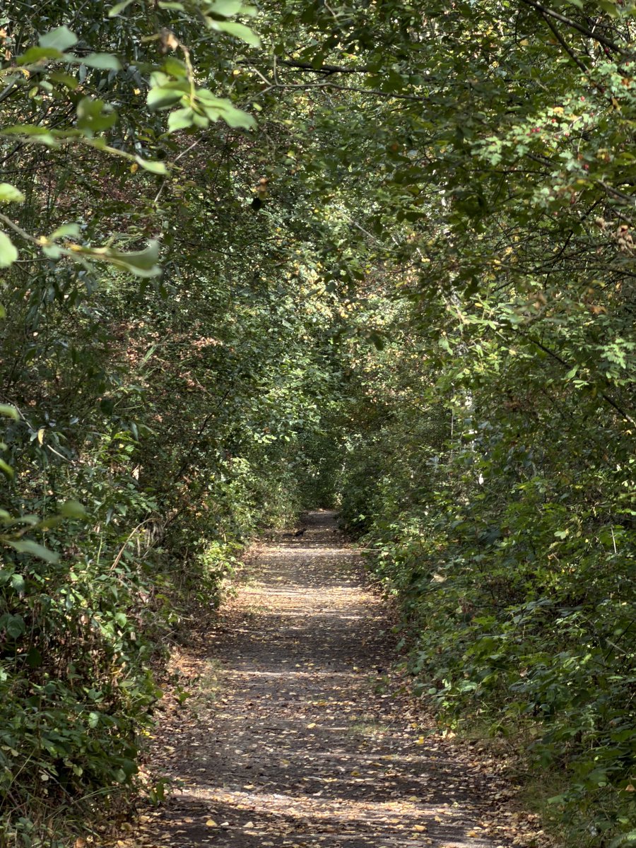 hikingshawty's tweet photo. today i walked seven miles and i had a roast for dinner :) https://t.co/wVFVaWu6nQ
