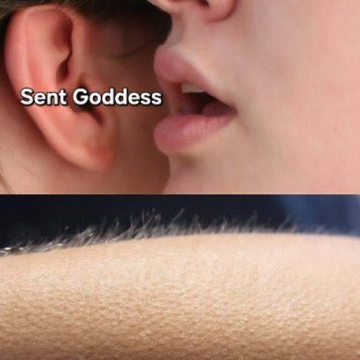 G0ddessRey's tweet photo. “Sent Goddess ❤️” is the best way to a Goddess heart and attention!🥰😇

Don’t be dumb and do it right 

Findom Femdom findomme CBT CEI SPH sissy cuck cuckold humanATM FaceTime call session Paypig Blackmail Humiliation Finsub Goddess Feet Teamviewer Kidslox degrading https://t.co/lXFkE53F7h