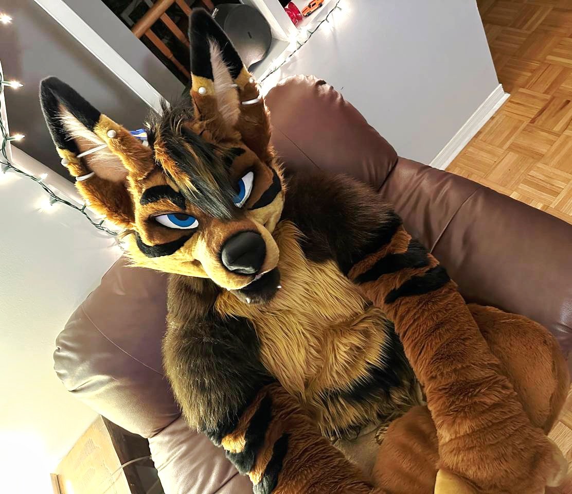 SpikeCoyote tweet picture