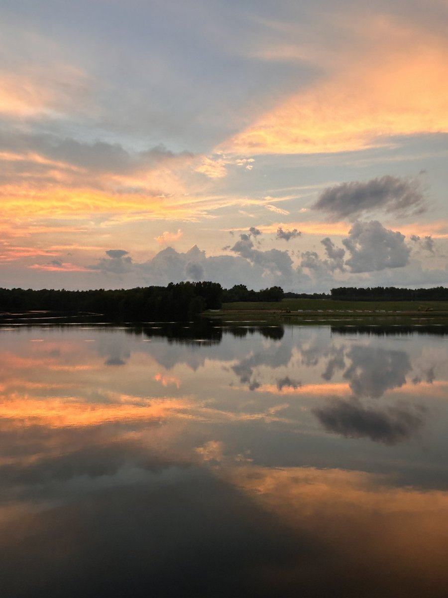 muamnkaujlig's tweet photo. skies in august >> https://t.co/4R2i9qq8QN