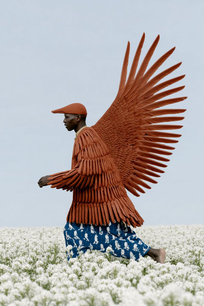 gizakdag's tweet photo. We all have wings. https://t.co/6dQRBzWZ03