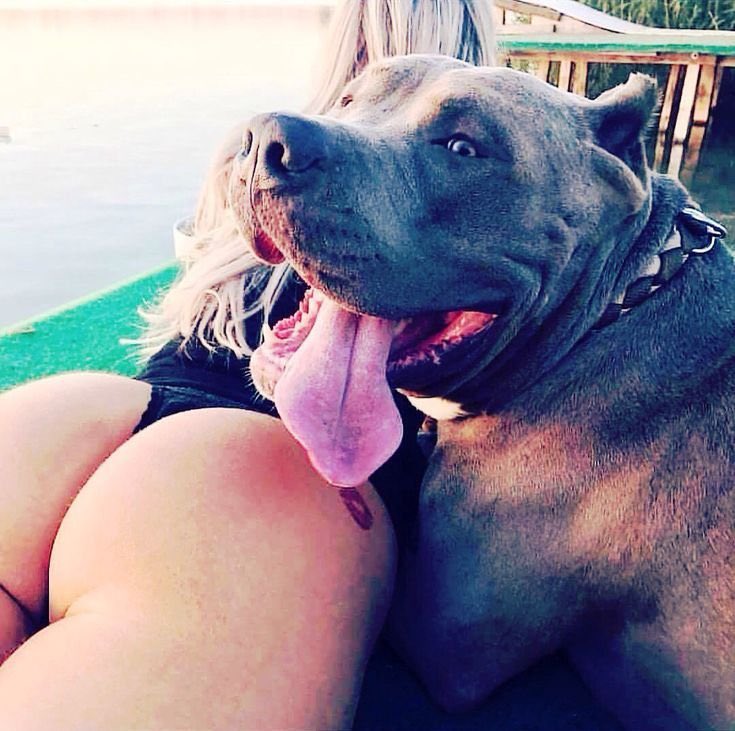 kira_knot's tweet photo. I bet you're horny right now 😏
Come get premium and exclusive K9 contents you won't see anywhere else 😌🔞🍆💦🐶
Only for serious minded people 😏
 https://t.co/AvXtxBSeA5

#zooporn #Animalporn #beastiality #zoophilia #dogknot #zoopride #blowjobs #puppylove https://t.co/bOsUWPbHDR