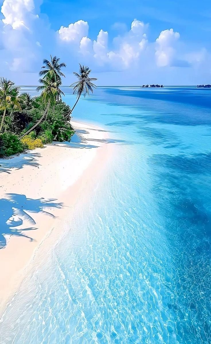 water_diaries tweet picture