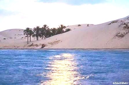 Sinai_my_heart's tweet photo. شمال سيناء ..
خلوه على ضفاف البحر الأبيض المتوسط https://t.co/BddsToaLRw