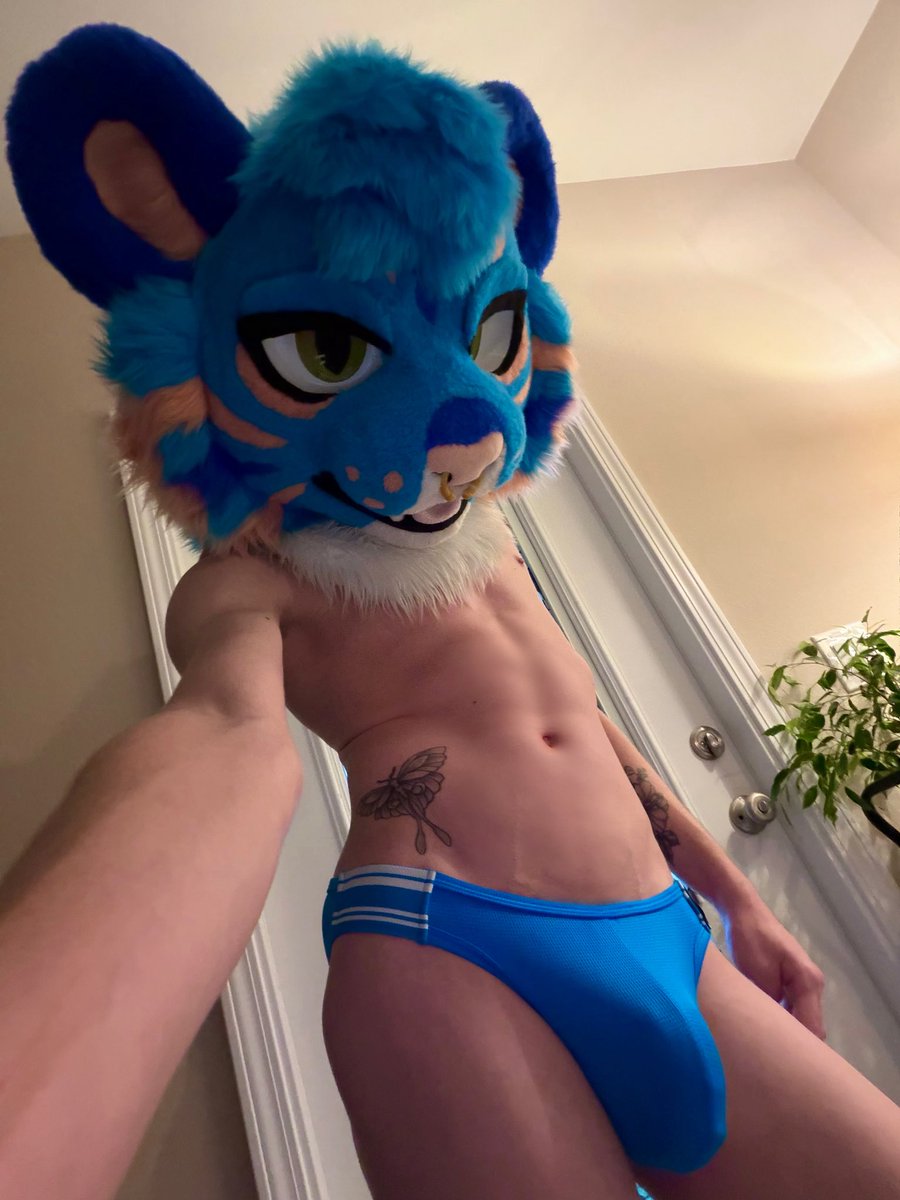 teothetiger's tweet photo. i want you to come claim it 🐅 https://t.co/icTd50HxEA