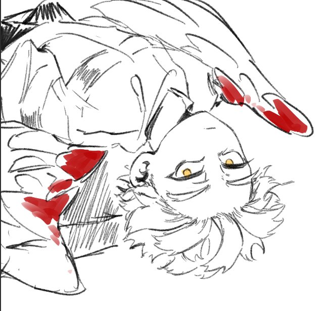 Hawks___12_28's tweet photo. 🐤 https://t.co/L3L7YQDKGb
