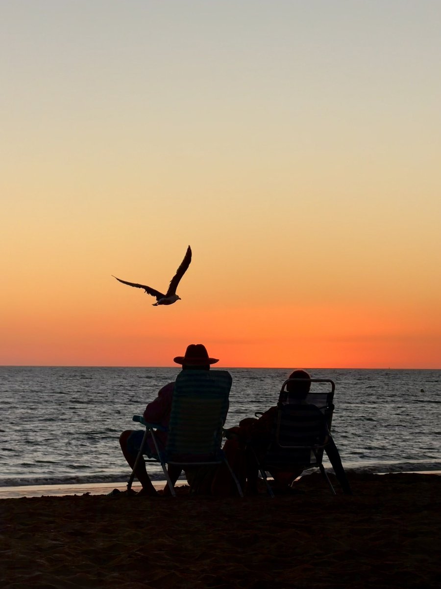holasoymerii_'s tweet photo. Ojalá la vida no se nos ponga nunca tan deprisa que olvidemos sentarnos a mirar cómo se pone el sol. https://t.co/9LhGbNCVHe