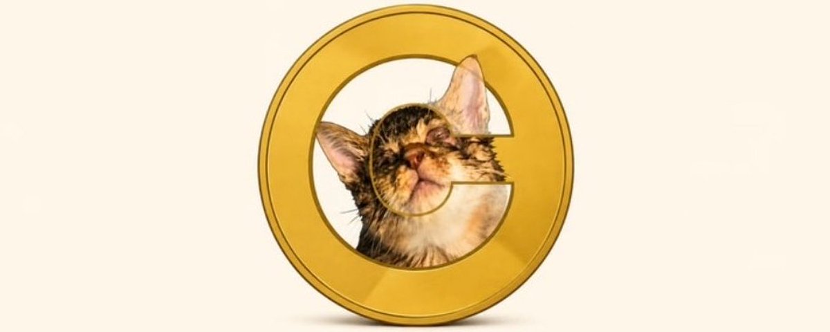 ndirit's tweet photo. https://t.co/IbqH2RnP8P