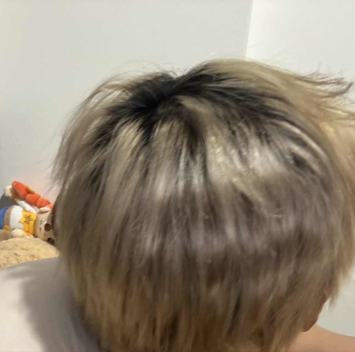 Mph2076's tweet photo. My raccoon tail lasted 4 days💀 https://t.co/SRSolLAHEI