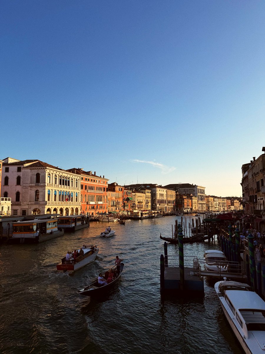 _martremblay's tweet photo. Well, hello Venice 🍊 https://t.co/qlD11YdMHv