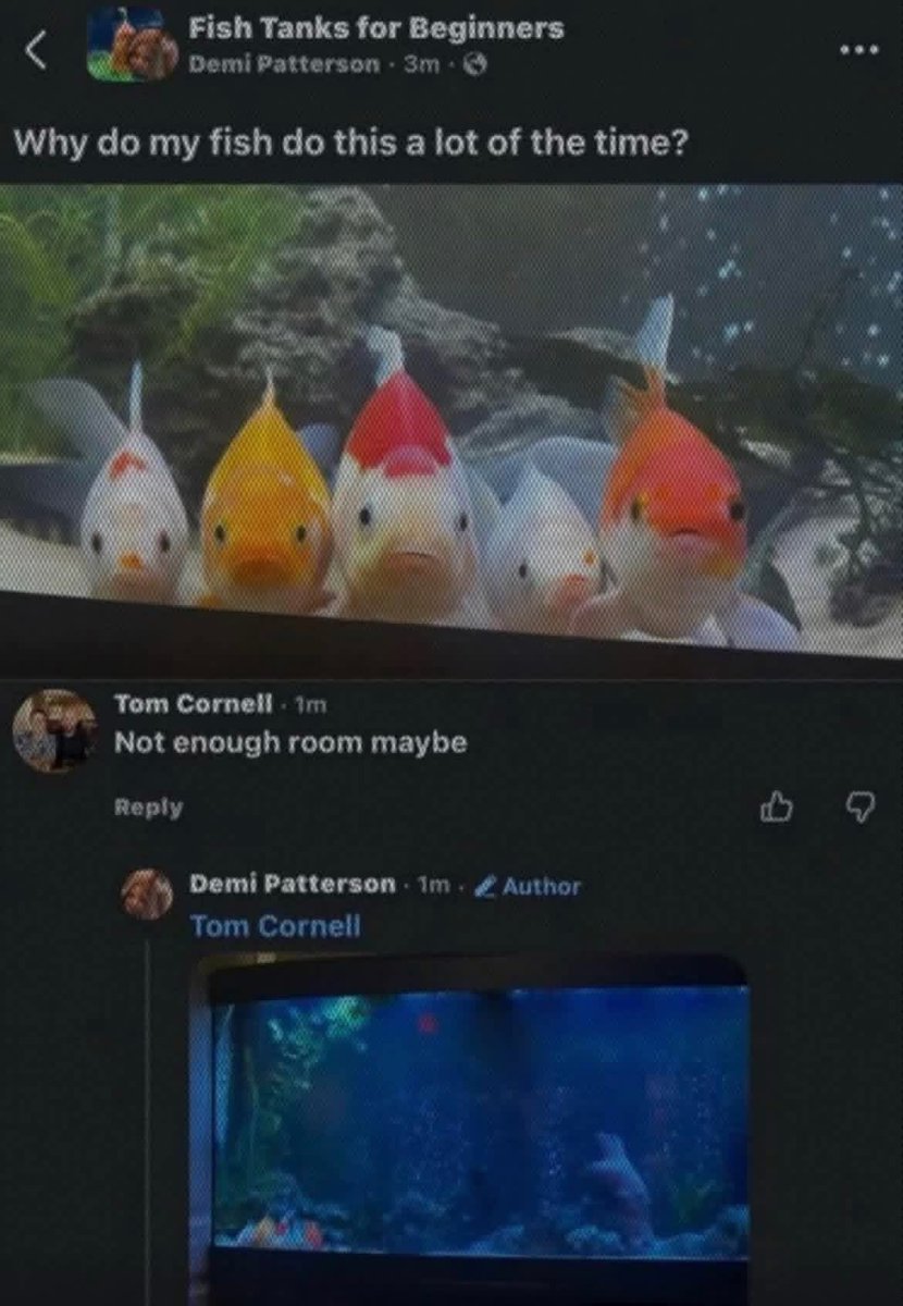 BadQualityMemes's tweet photo. https://t.co/ev2jRLkeBq