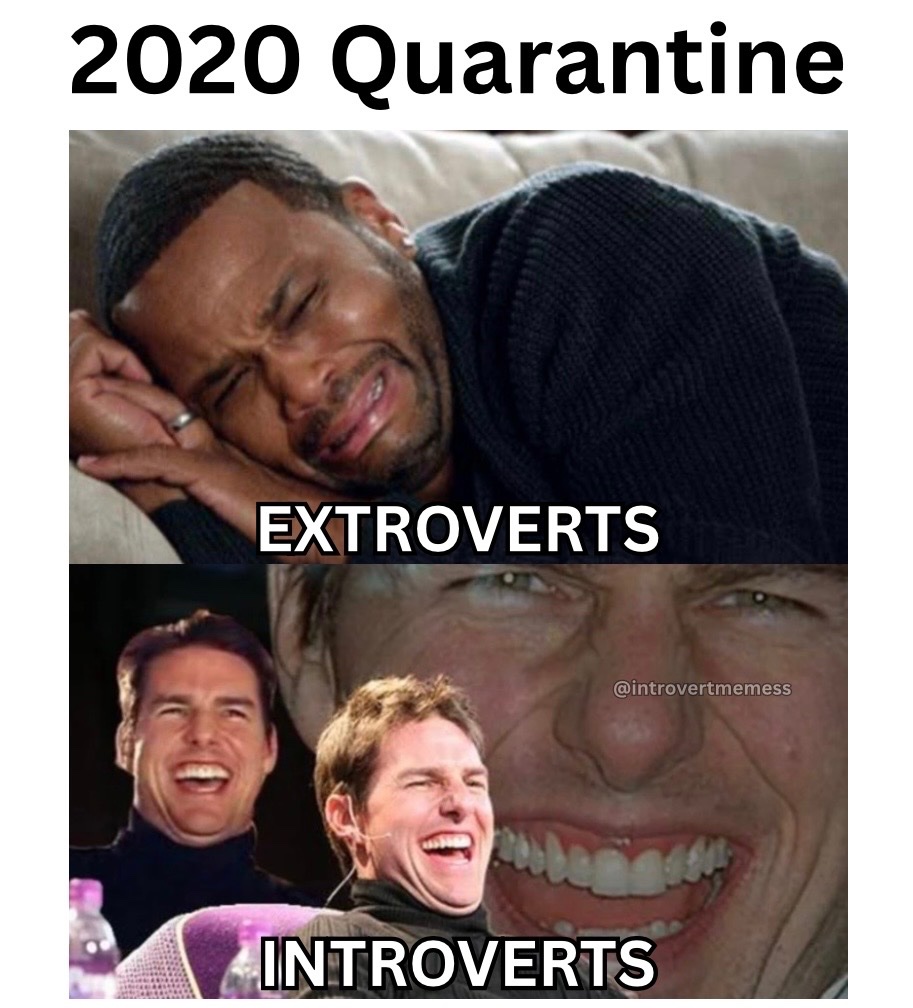 IntrovertApparl's tweet photo. https://t.co/mo4wPFs0BF