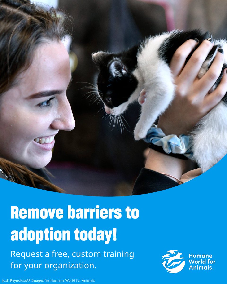 Humane_Pro's tweet photo. Is your adoption process preventing pets from finding loving homes? 🤔

Learn how to identify and remove barriers to adoption and engage your   
community through a conversation-based approach with our Adopters Welcome program! 🙌 Request a free, custom training for your organization at: https://t.co/KPMnmQBwvW