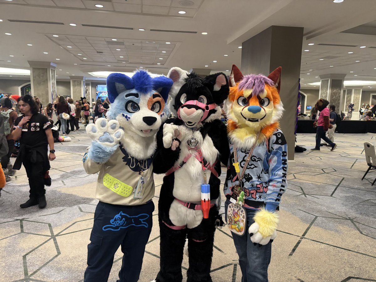 KFloatzel's tweet photo. Denfur haul and shenanigans.
Had a tonnnnn of fun! If anyone has photos of me feel free to tag me! 
Ready for next year! #denfur #denfur2026 #furry https://t.co/kQFBcticZT