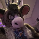 Photo by Matthew Fluff🔞 ➡️ Denfur (@KFloatzel)