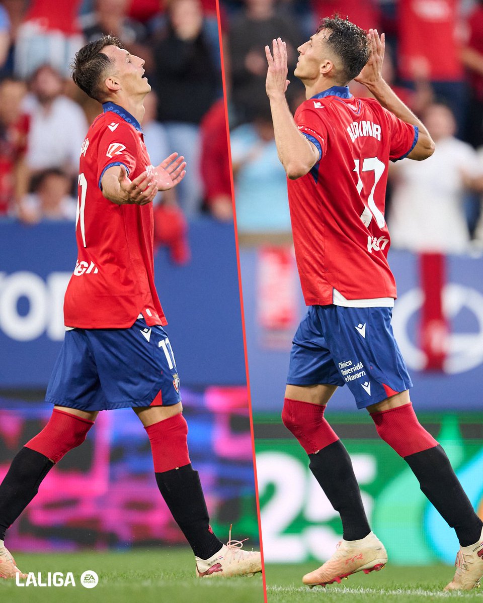 LaLiga's tweet photo. ❤️🦢

@Osasuna | #VUELVELALIGA https://t.co/NcyYqzYgVg