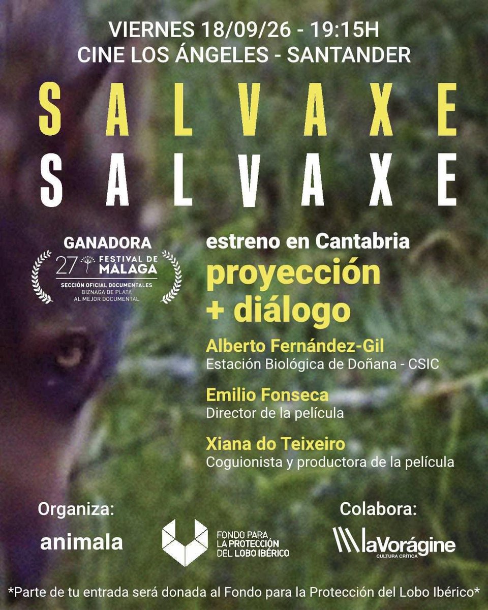 FondoLobo's tweet photo. ❗❗🐺
El viernes 18 de septiembre estaremos en Santander proyectando y presentando el documental "Salvaxe, salvaxe", con un coloquio del director Emilio Fonseca, Alberto Fernández-Gil y Xiana do Teixeiro.
Organizado por Animala y Fondo Lobo
¡No os lo perdáis!
👇👇 https://t.co/ThKhRc1CBr