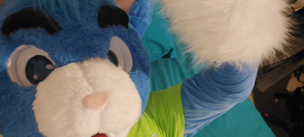 BloodieyR's tweet photo. La fursuit esta casi terminada solo falta la cola y las paws de abajo #FursuitEverday https://t.co/3rGkxMZFjJ
