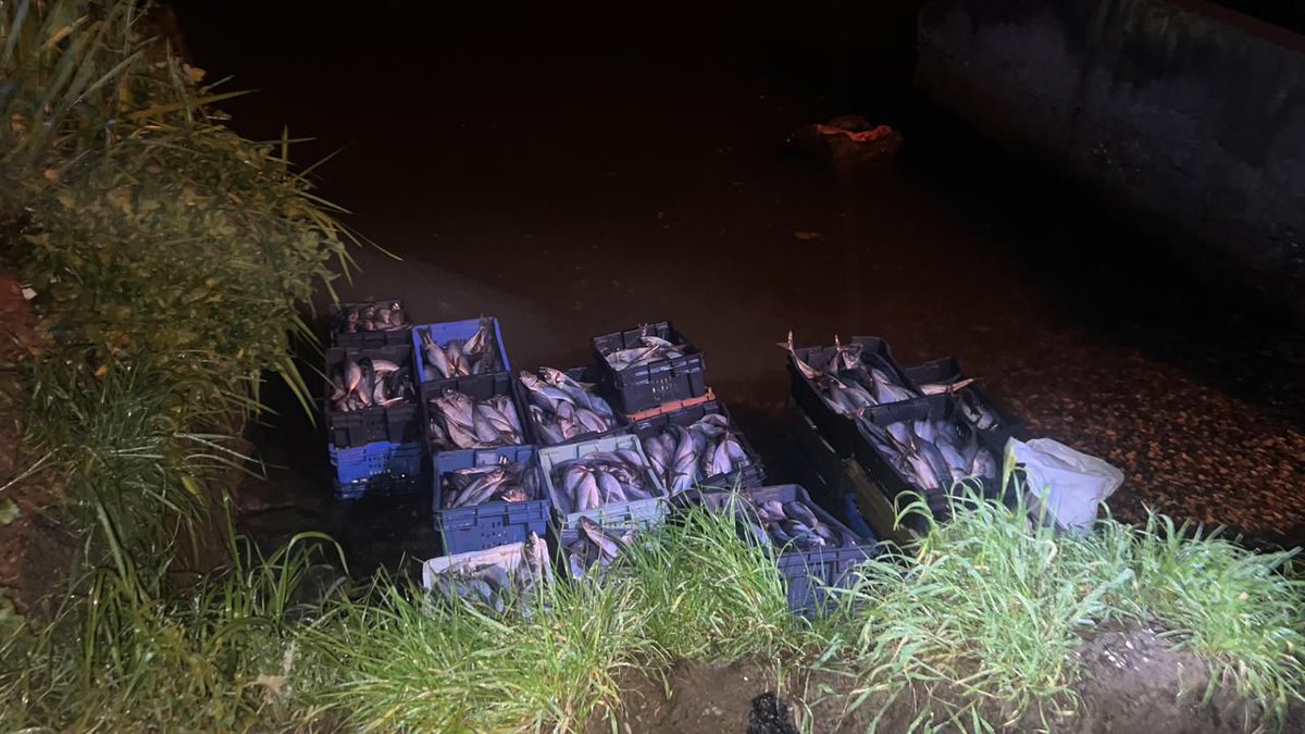 Armada_Chile's tweet photo. Tras un aviso por presunta extracción ilegal de jurel, personal de Policía Marítima de la Capitanía de Puerto de Lota concurrió al sector de Colcura.

En el lugar fueron encontradas 100 cajas con 3,8 toneladas de jurel, sin personas ni embarcaciones en las inmediaciones. https://t.co/GhGDD54o1d