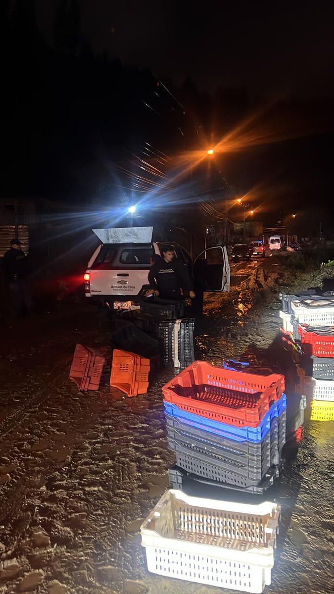 Armada_Chile's tweet photo. Tras un aviso por presunta extracción ilegal de jurel, personal de Policía Marítima de la Capitanía de Puerto de Lota concurrió al sector de Colcura.

En el lugar fueron encontradas 100 cajas con 3,8 toneladas de jurel, sin personas ni embarcaciones en las inmediaciones. https://t.co/GhGDD54o1d