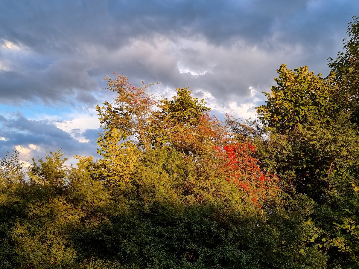 die_gritti's tweet photo. Abendstimmung am letzten Augusttag ... https://t.co/izVeBW9jmk