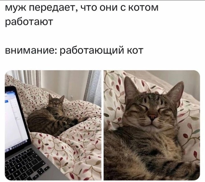 lLA1760035's tweet photo. Без задних ног! 😜☝ https://t.co/QzPD5TZDLZ
