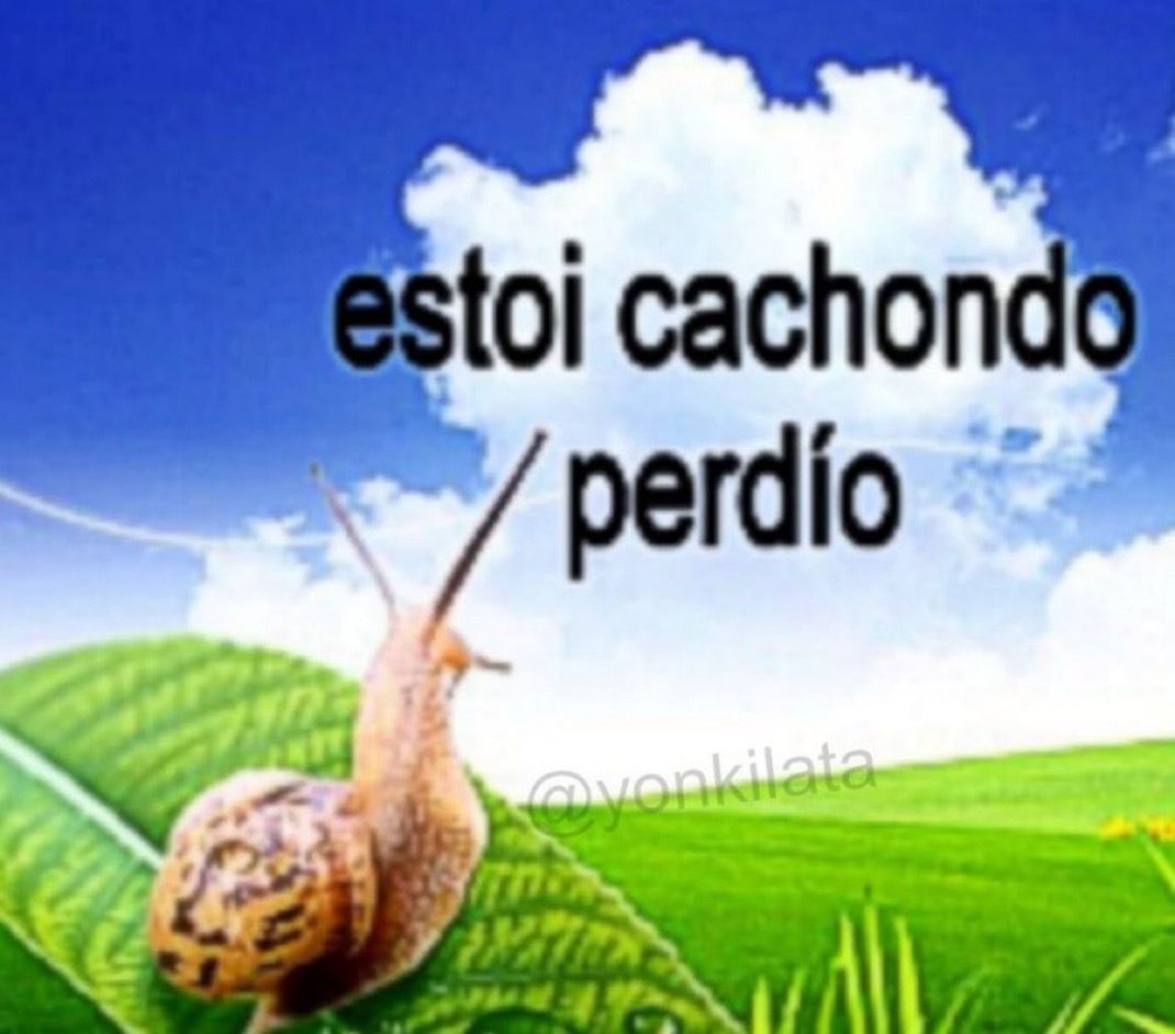 wikipistacho's tweet photo. https://t.co/or3kcn5dhh