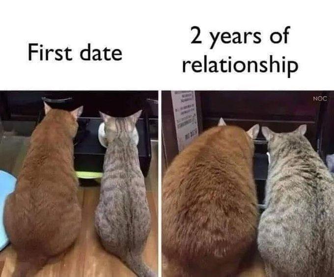 BChesterbn28350's tweet photo. @ThePetsX lol, it reminds me of this photo😂😂😂 https://t.co/EW50c9RhPW