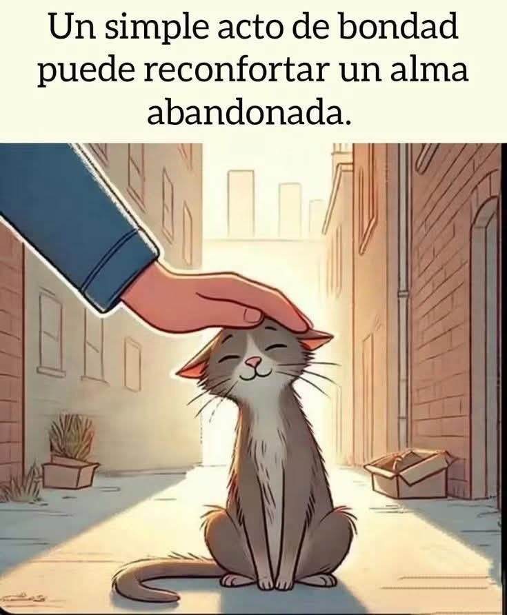 ManuSaenzVolvio's tweet photo. 🧡 https://t.co/wlqsmqMmaV