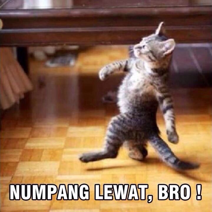 NICAY_Y's tweet photo. @ROJEkidz @DPR_RI PAK NAMANYA BEE PAK A.K.A @ROJEkidz PAK, KERUMAH DY AJA PAK, SAYA HANYA NUMPANG LEWAT, FUNTEENNNN! https://t.co/AK1G5c5V1m