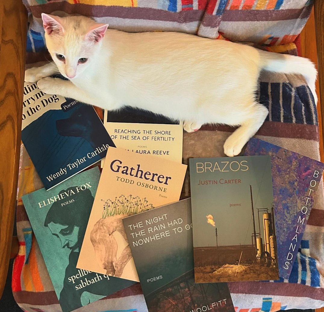SealeyChallenge's tweet photo. It's time to show off your stacks, piles, and poetry picks (especially with your favorite critter!)—what did you read for this summer's #sealeychallenge? https://t.co/szIoJ6xJWj