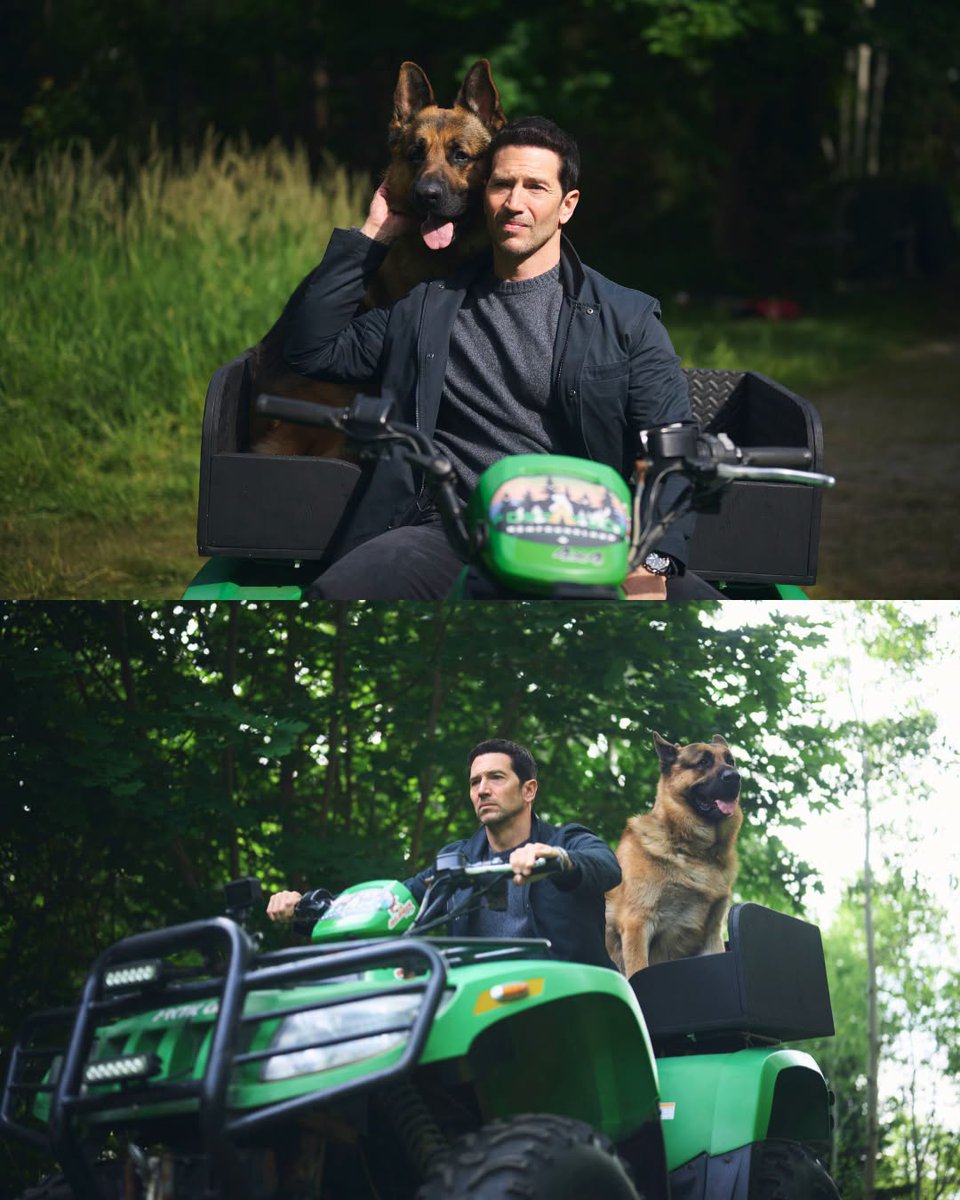 UPtv's tweet photo. The wilderness has secrets, and Rex is ready to sniff them out. 🐾

#HudsonAndRex airs Thursday at 8 PM ET on UPtv!

#GermanShepherd | #DogWithAJob https://t.co/o8ZIfzk7Bv