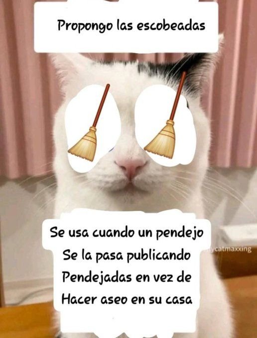 aletitouu's tweet photo. @elcaracter3879 Las menores hablaremos de lo que nos hiciste, pagaras maldito https://t.co/47lm1sIUnE